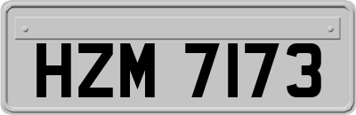 HZM7173