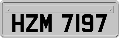 HZM7197