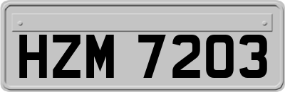 HZM7203