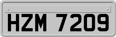 HZM7209