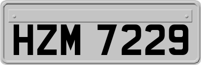 HZM7229
