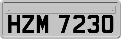 HZM7230