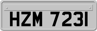 HZM7231