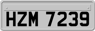 HZM7239