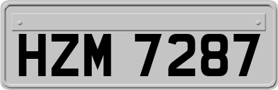 HZM7287