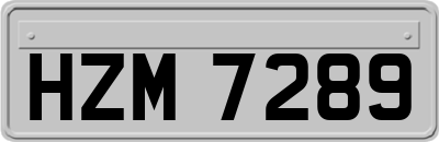 HZM7289