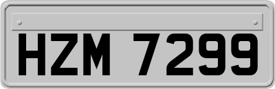 HZM7299