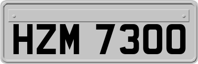 HZM7300