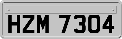 HZM7304
