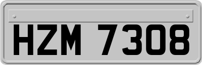 HZM7308