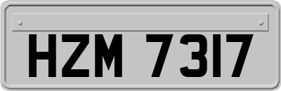 HZM7317