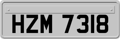 HZM7318