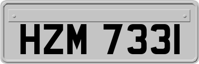 HZM7331