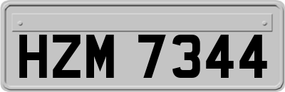 HZM7344