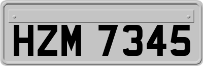 HZM7345