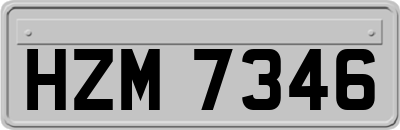 HZM7346