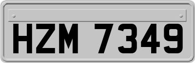 HZM7349
