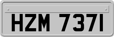 HZM7371