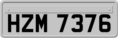 HZM7376