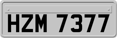 HZM7377