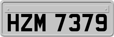 HZM7379