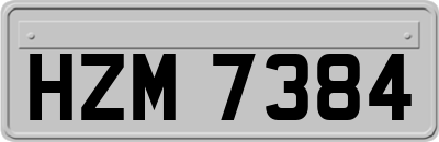 HZM7384
