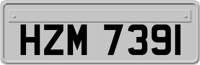HZM7391