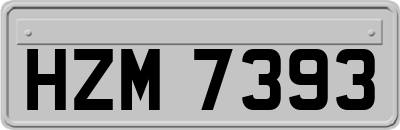 HZM7393