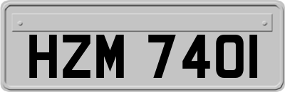 HZM7401