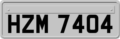 HZM7404