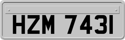 HZM7431