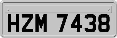 HZM7438