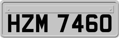 HZM7460