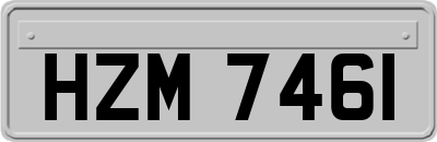 HZM7461