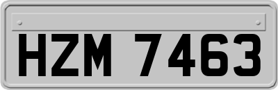 HZM7463
