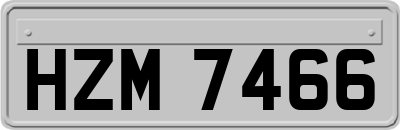HZM7466