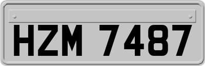 HZM7487