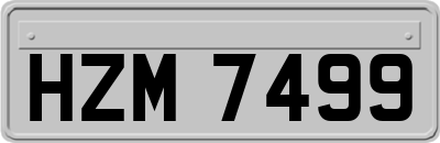 HZM7499