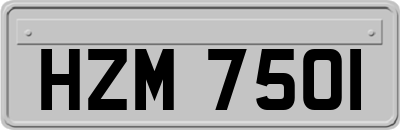 HZM7501