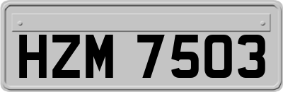 HZM7503
