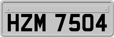 HZM7504