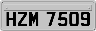 HZM7509