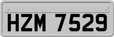 HZM7529