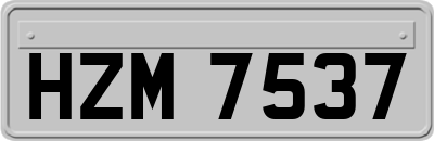 HZM7537
