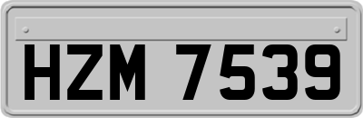 HZM7539