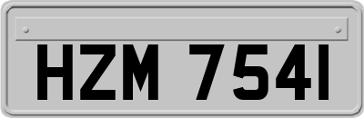 HZM7541