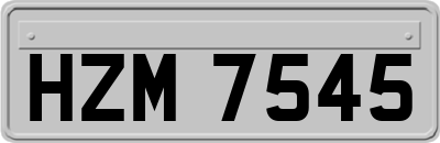 HZM7545