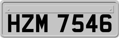 HZM7546