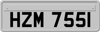HZM7551