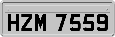 HZM7559